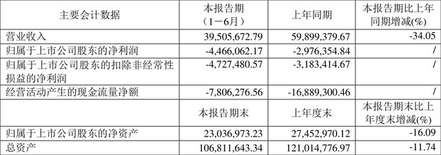 华嵘控股：2022年上半年亏损44661万元(图1)