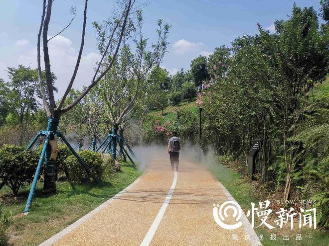 九游体育：能听歌的空调……智博会首日重庆慢新闻记者带你逛逛4大体验区(图13)