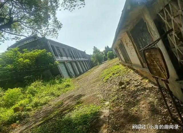 废弃的模具厂我曾经在这里获得全市一等奖如今已人去楼空(图6)