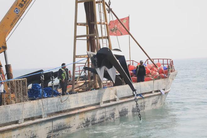 【全市首座】赣榆开启深远海养殖新篇章成功布设60米级重力式养殖网箱(图3)