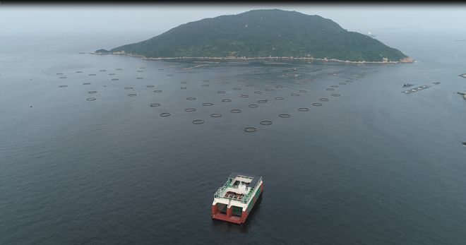 我国首座半潜式波浪能养殖平台“澎湖号”：5万斤大规格赤嘴鳘上市！(图2)